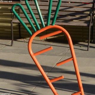 Wortels geraspt 250 gr